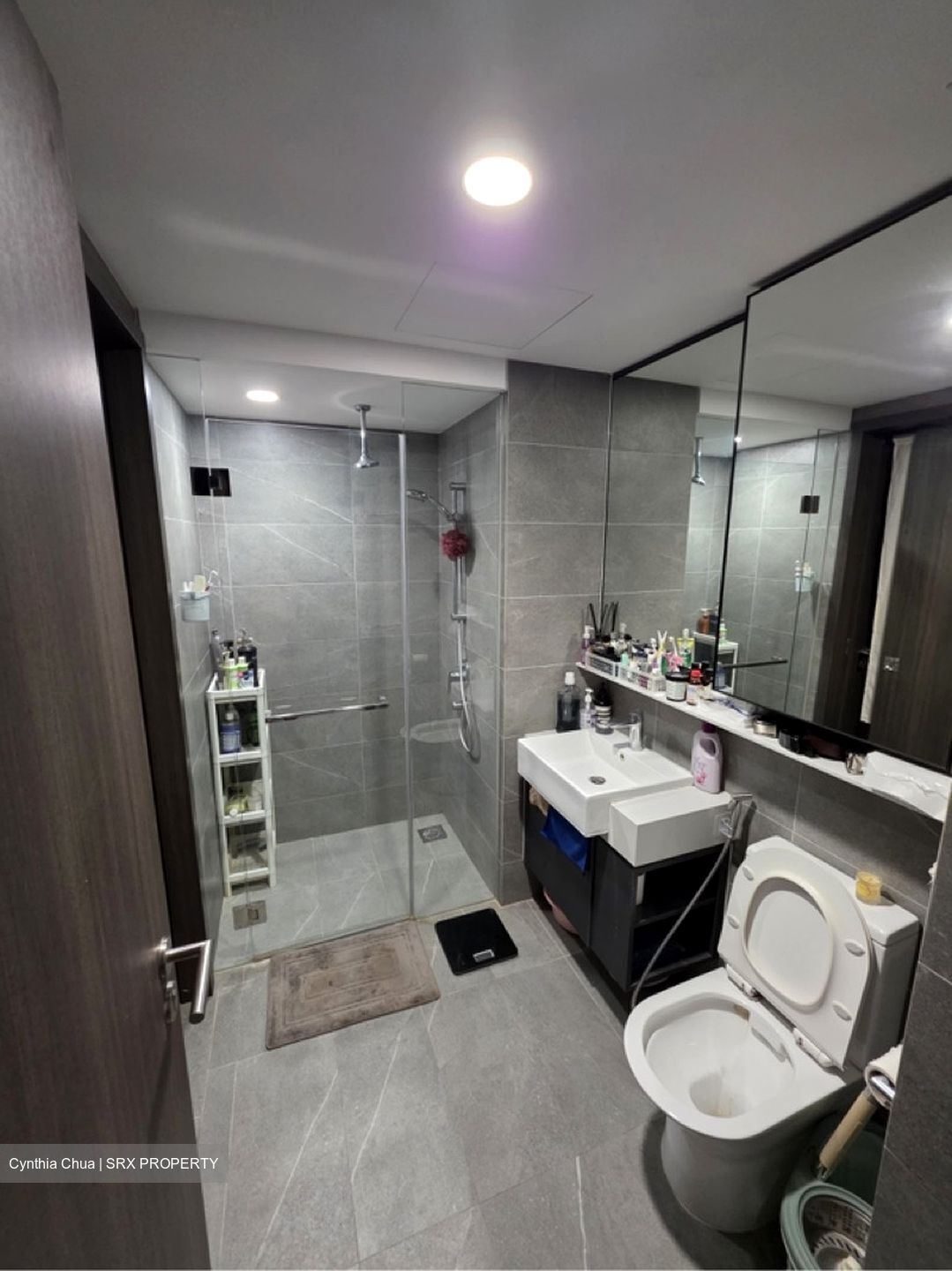 Riverfront Residences (D19), Apartment #583363031